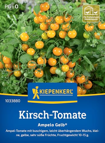 Kiepenkerl Kirsch-Tomatensamen Ampelo Gelb® 1033880 – Ampel- Tomate - buschig - gelbe Früchte - leichter Überhang- Samen Gemüse, Gemüsepflanzen, Saatgut