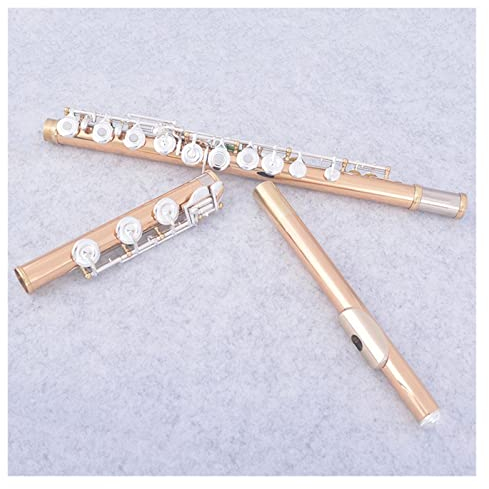 17 Offene Löcher C-Key-Flöte Cupronickel Versilberte Goldene Professionelle Flöte Querflöte Anfänger