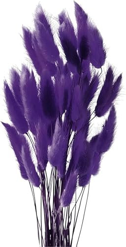 Pampasgras Trockenblumen 50 Stück Elegantes Pampasgras Deko Natürlich Blumenstrauß Flauschiges Getrocknete Blumen Herbst Boho Deko für Hochzeit Büro Schlafzimmer Wohnzimme (Dunkelviolett)