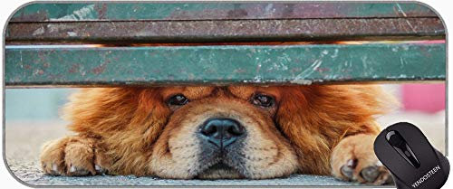 Tapis de souris XXL pour gamer, motif chien Chow Chow