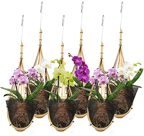 lanccona Orchideen-Pflanzgefäß zum Aufhängen, 10.2 cm, 6 Stück, mit Vogelnest-Stil, Pflanzenaufhänger, handgefertigt, thailändischer Bambus, Pavillon, drinnen und draußen