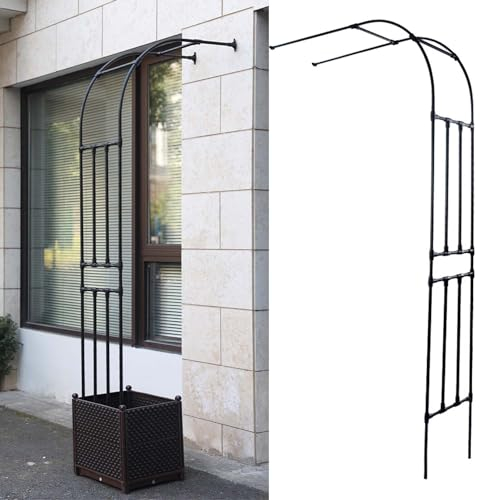 Lnder Rankhilfen Torbogen Rosenbogen Halbrund Für Rosen Blumen Im Garten Terrasse Wandmontage Schwarz Rosenbögen Gartenbogen Rankgitter