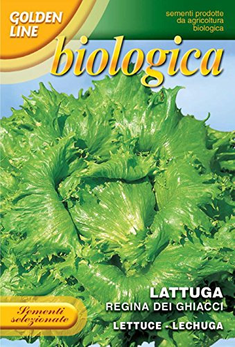 Franchi Seeds of Italy Organic Range Iceberg Lettuce Regina dei Ghiacci Seeds