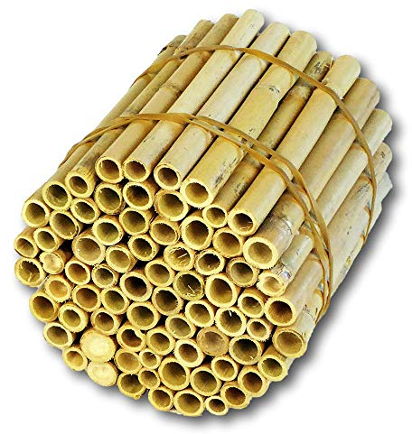 BeeCasa by Hiss Reet® Schilfrohrhalme EXTRA | Naturbelassener Bund | Insektenhotel & Bienenhotel Füllmaterial | Niströhren & Nisthülsen für Wildbienen