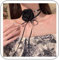 Wendalern Collier Ras Du Cou En Perles Pour Femmes Collier De Satin Noir À Fleurs Roses Collier Long Ruban Noir En Velours Collier À Lacets Grand Camélia Collier Laçage Floral Bijoux De Mariage