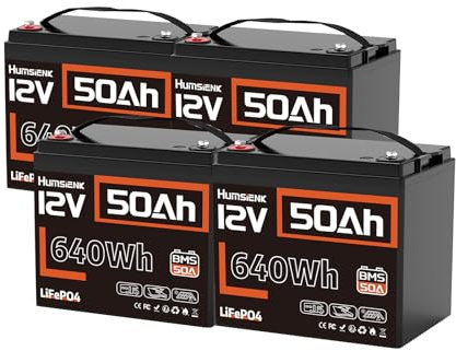LiFePO4 Akku 12,8V 50Ah, 4 Stück, 15000 Zyklen, 50A BMS, mit Kälteschutz, für Wohnmobil und Energiespeicher