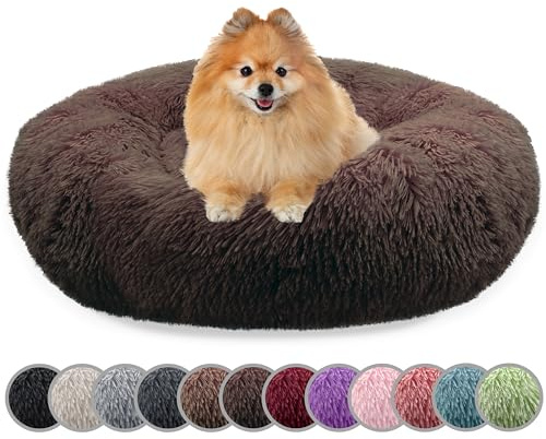 bluzelle Hundebett für kleine Hunde & Katzen, Coffee, XS-60 cm