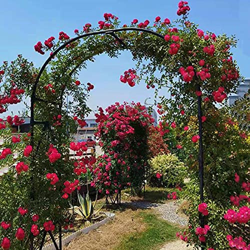 Stabiler 20 mm dicker Stahl-Gartenbogen, wasserdichtes Metallspalier für Kletterpflanzen, dekorativer schwarzer Rosenbogen, 3,0 m x 2,4 m, perfekt für Gärten und Außenbereiche