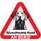 Indigos UG - Namensaufkleber Hund - Dobermann - Aufkleber mit Namen & Wunschtext - individuell personalisiert - Auto - Motorrad - LKW