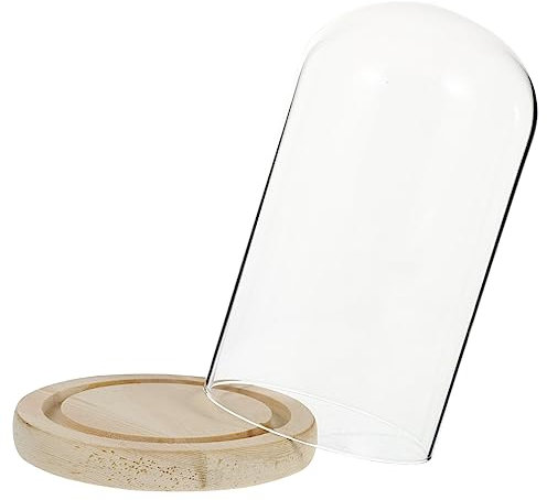 MUCKLILY Glaskuppel mit Holzsockel Glasabdeckung für Konservierte Blumen Transparente Displayhaube zur Tischdekoration und Selbstgemacht Landschaftsschau