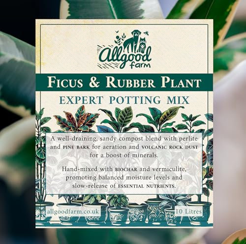 Allgood Farm Ficus & Rubber Plant Soil - Expert Potting Mix for Weeping Fig, Fiddle Leaf, Banyan Fig, Ficus Benjamina, Ficus Elastica (1 Litre)