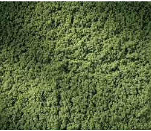 Auhagen 76666 Rasen Rolle, Hellgrün