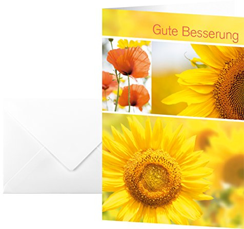 SIGEL DS047 Karten gute Besserung, 10 Stück mit Umschlägen, ideal zum Bedrucken, aus nachhaltigem Papier