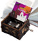 Halloween Spieluhr | Klassische Spieluhr | Holz Spieluhr | Handkurbel Spieluhr | Vintage Spieluhr Festlich und Stilvoll Holz Metall für Kinder Spieluhr Spieluhr