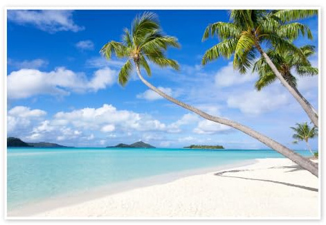 Posterlounge Plage blanche avec palmiers à Tahiti Poster | 90 x 60 cm de Jan Christopher Becke Turquoise Tableaux Décoration murale