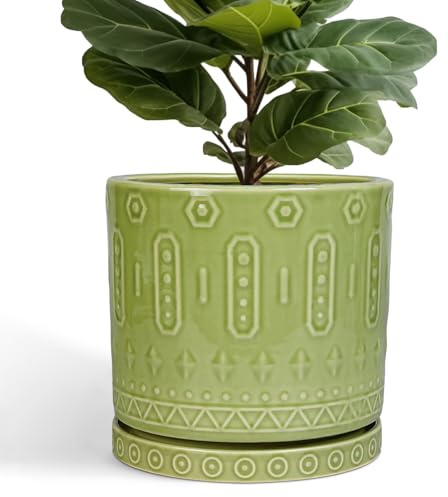 Eightpot Ceramic Planter - 12 Inch Pots for Plants Indoor Outdoor, Round Large Flower Pots with Drainage Hole and Saucer, Decorative Boho Planter, Home Office Decor, Plant Lover Gifts, Green