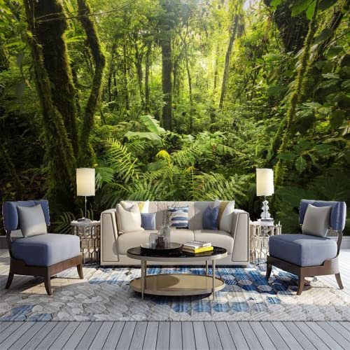 GIVLWF Papier Peint Panoramique de Forêts Nuageuses Du Costa Rica Belle Végétation Dense Déco de La Maison - pour Salon Chambre D'enfant Décoration Murale 400 x 280 cm