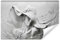 Muralo - Fototapete 3d Effekt - Selbstklebende Tapete 3d - Tapeten für Wohnzimmer Schlafzimmer - Tapete mit Beton-Optik - Fototapete Frau mit Hut - Fototapete mit Flachrelief Br. 416cm x Hö. 254cm