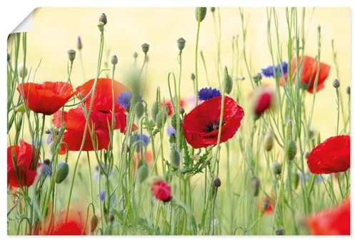 ARTLAND Wanddeko Poster & Kunstdrucke Wandposter 90x60 cm Querformat Pflanzen Blumen Mohn Mohnblumen Kornblumen Blumenwiese Sommer U4YP