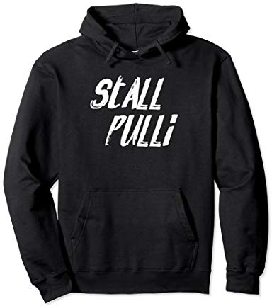 Stall Pulli Pferd Pferde Reitsport Reiterin Reiten Geschenk Pullover Hoodie