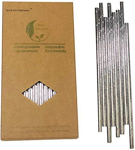 YiYi Nature Daily Solid Silver Metallic Party Paper Straws, Premium - Shining Biodegradable Straws for Juice, Birthday, Wedding. (YY-416),7.75inch