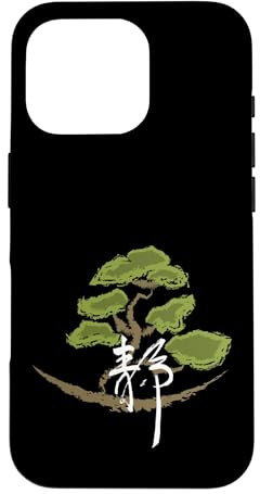 Japan Japanese Fonts Anime Asian Case for iPhone 16 Pro