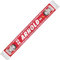 Partisan Liverpool Arnold Schal 24/25 HD, rot, 127 x 19 cm