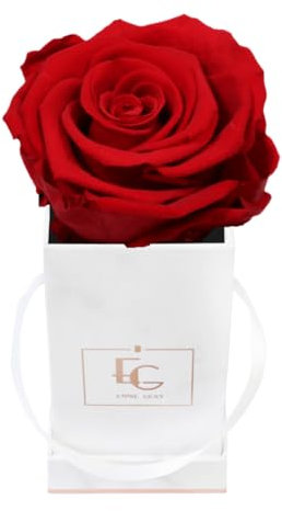 Emmie Gray Classic Infinity ROSENBOX | Marble Rosegold | Eckige Flowerbox - Infinity Rosen in Grauer Samtbox - 1-3 Jahre Haltbarkeit - Echte Rosen, die jahrelang blühen (Vibrant Red)