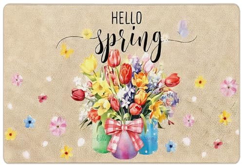 Aurblyn Spring Door Mat with Bird and Floral Design Hello Spring Outdoor Rug Non Slip Welcome Mat for Front Door Washable Decorative Porch Rug for Indoor Outdoor Home Decor 24x16 Inch Crystal Velvet