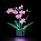 LIGHTAILING Licht-Set Für Lego-10311 Orchidee - Led-Beleuchtungsset Kompatibel Mit Lego Bausteinen Modell - Modell Set Nicht Enthalten