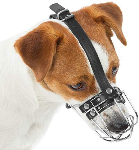 Hundemaulkörbe aus verchromtem Metall, verstellbare Lederriemen (Nr. 0). Der Umfang beträgt 15–15,7 cm, die Länge beträgt 5,3–5,8 cm