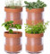 Phoenix Vine 52-A-E-4 Terracotta Flower Pots with Glass Tank for Indoor Plants, Herbs, Flowers, 4 Inch, Set of 4