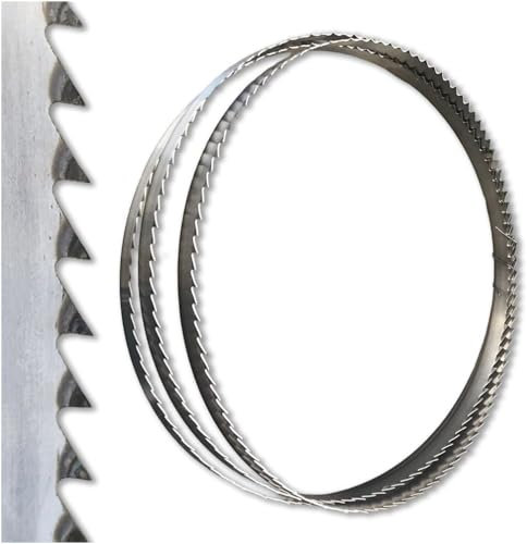 Diamwood Lame de Scie à Ruban Bois PAE Réaffûtable 2240 x 10 x 0,6 x 6 mm - Acier C75 - Idéale pour Découpe Précise du Bois, Réaffûtable pour Prolonger la Durée de Vie