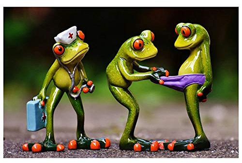 5D Diamant Malerei Kit Vollbohrer Diamond Painting Lustige Frösche Bilder Stickerei Crystal Strass Kreuzstich Mosaik Arts Living Room Craft für Home Wand Decor U3170Round Drill,40x50cm