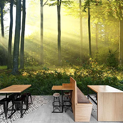 XTSWallpaper Auto Adhésif Stickers 3D Muraux - 400X280Cm Vert Arbres Soleil - Papier Peint Murales Panoramique 3D Papier Peint Personnalisé Photo Murale Cafe Tv Fond Peinture Murale