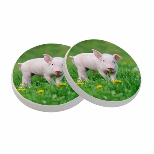 oFloral Untersetzer mit niedlichem Schweinchen für Getränke, Frühlingsgrünes Gras, lustiger Tier-Untersetzer, rund, 10,2 cm, für Couchtisch, Haus, Geschenke, Heimdekoration