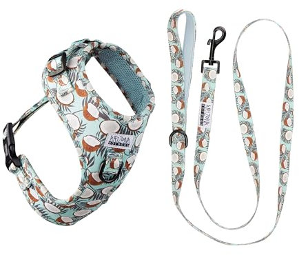 Hundegeschirr mit Leine für mittelgroße Hunde | Arizona Hotdogs Softgeschirr Coconut | Leine Nylon 1,5m | Kokosnuss-Muster Hellblau (M)