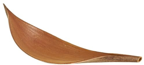 Getrocknete Palme zum Basteln,Natürliche Kakaoblätter - Getrocknete Zweige Heu dekorativ - Natürliche exotische Dekoration von Hay, dekorativ für Zuhause, Flur, Restaurant, Hotel, Café, Studio