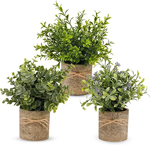 YVONNEYI 3 Stück Künstliche Pflanzen, Mini Kunstpflanze Eukalyptus, Künstliche Pflanzen Plastik für Schlafzimmer Badezimmer Küchen Zuhause Innen Deko