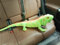 Xshelley Realistische grüne Eidechse Plüschtier Spielzeug, Chamäleon Puppen, Reptilien Plüschtiere Mähneneidechsen, Wildtier Spielzeug Geschenke für KinderLänge65cm
