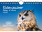 Eulenzauber Eulen und Uhus DIN A5 Wandkalender für 2025 - Geschenkset Inhalt: 1x Kalender, 1x Weihnachtskarte (insgesamt 2 Teile)
