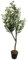 Leaf Design UK Schwarzer Kunststofftopf, 120 cm, künstlicher Olivenbaum mit Holzstamm