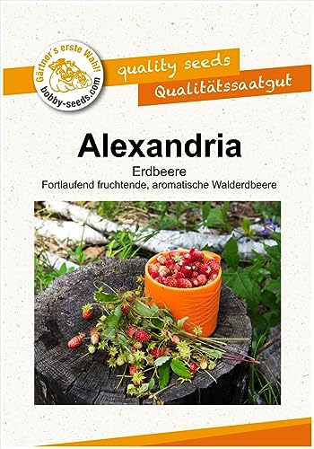 Gemüsesamen Alexandria Walderdbeere Portion