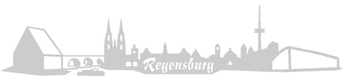 Skyline4u Aufkleber Regensburg mit Sehenswürdigkeiten 20 x 4,1cm silbermetalleffekt