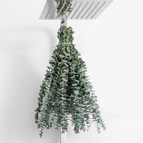 10 Pcs Dried Eucalyptus Stems 17 Real Eucalyptus 100% Made From Fresh Eucalyptus Leaves Artificial Eucalyptus for Shower Hanging, Wedding Decor Home Decor Farmhouse Decor Diy Artificial Plants,Green