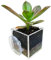blumentopf für fenster, blumentopf transparent saugnapf, blumentopf acryl blumentopf mit drainageloch, blumentopf rechteckig für sukkulenten, dekorative behälter für vasen, vasen für