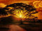 wandmotiv24 Fototapete Afrika Sonnenuntergang Größe: 350 x 260 cm Wandbild, Motivtapete, Vliestapete KTk1
