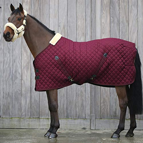 Kentucky - Coperta per cavallo, 400 g, colore: bordeaux