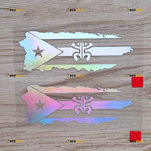2er Pack Holografisch Irisierend, 10,2cm - Puerto Rico Karte Coqui Frosch Flagge Aufkleber Sticker Vinyl Puerto Rican - Kein Hintergrund Konturschnitt 05081 für Auto Boot Laptop