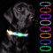 Nepfaivy Leuchthalsband Hund USB Aufladbar - Wasserdichtes Hundehalsband Leuchtend mit Verstellbarer Länge, LED Halsband für Hunde mit 3 Beleuchtungsmodi für Sicherheit, Regenbogen